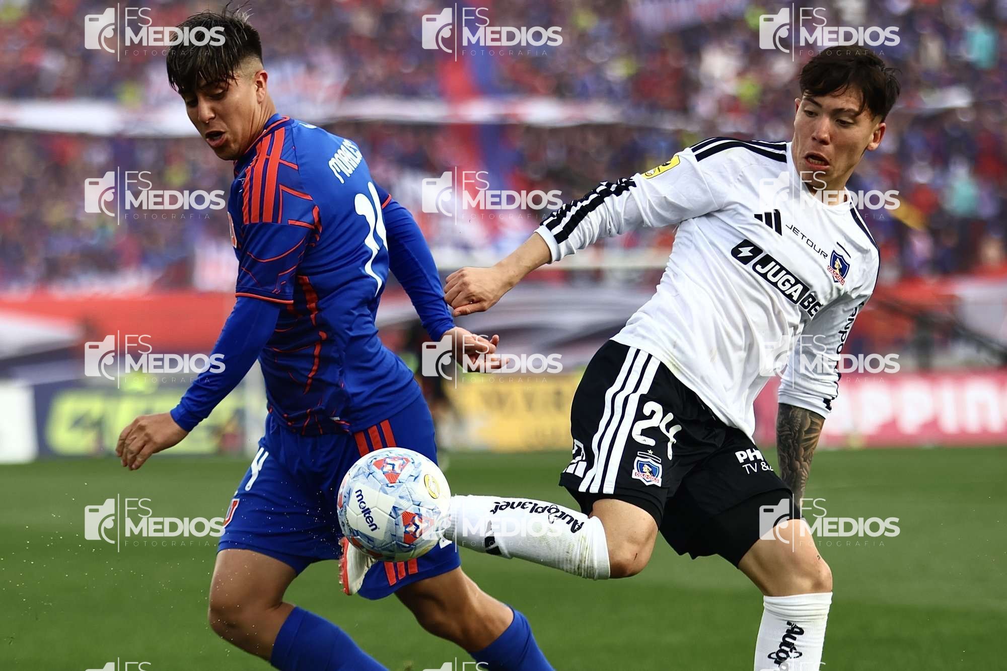 Foto